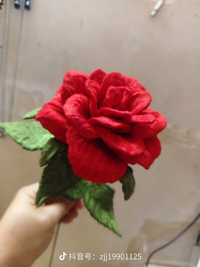 玫瑰