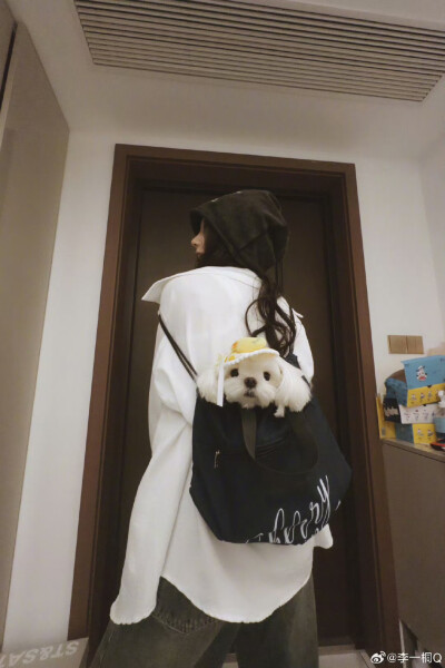 李一桐