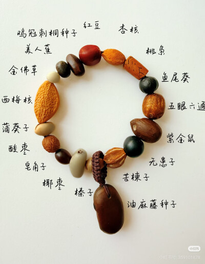 标本