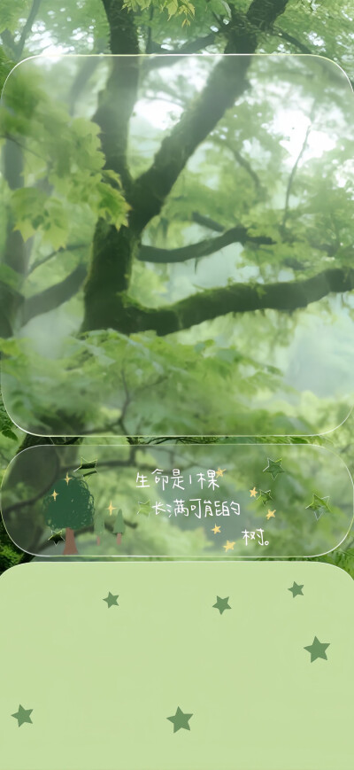 壁纸