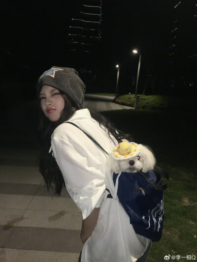 李一桐