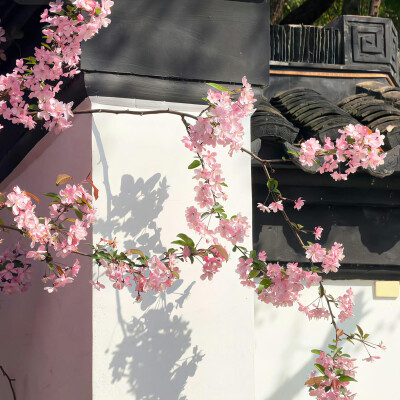 粉色系背景图
