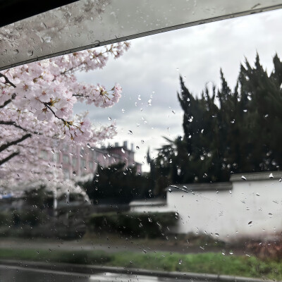 雨滴屏背景图