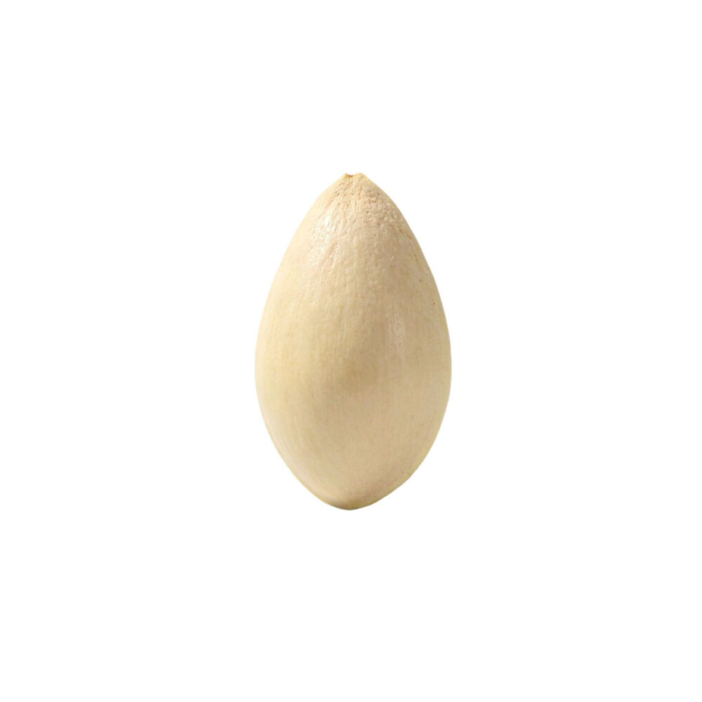 白色系白底头像