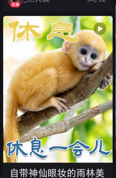 。
