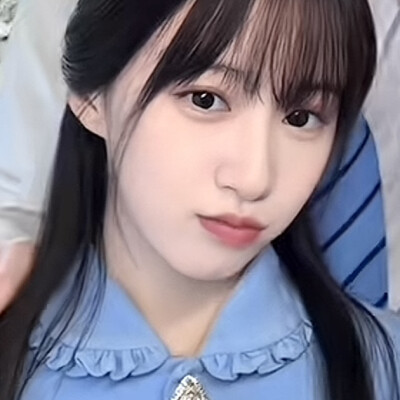 借来的猫