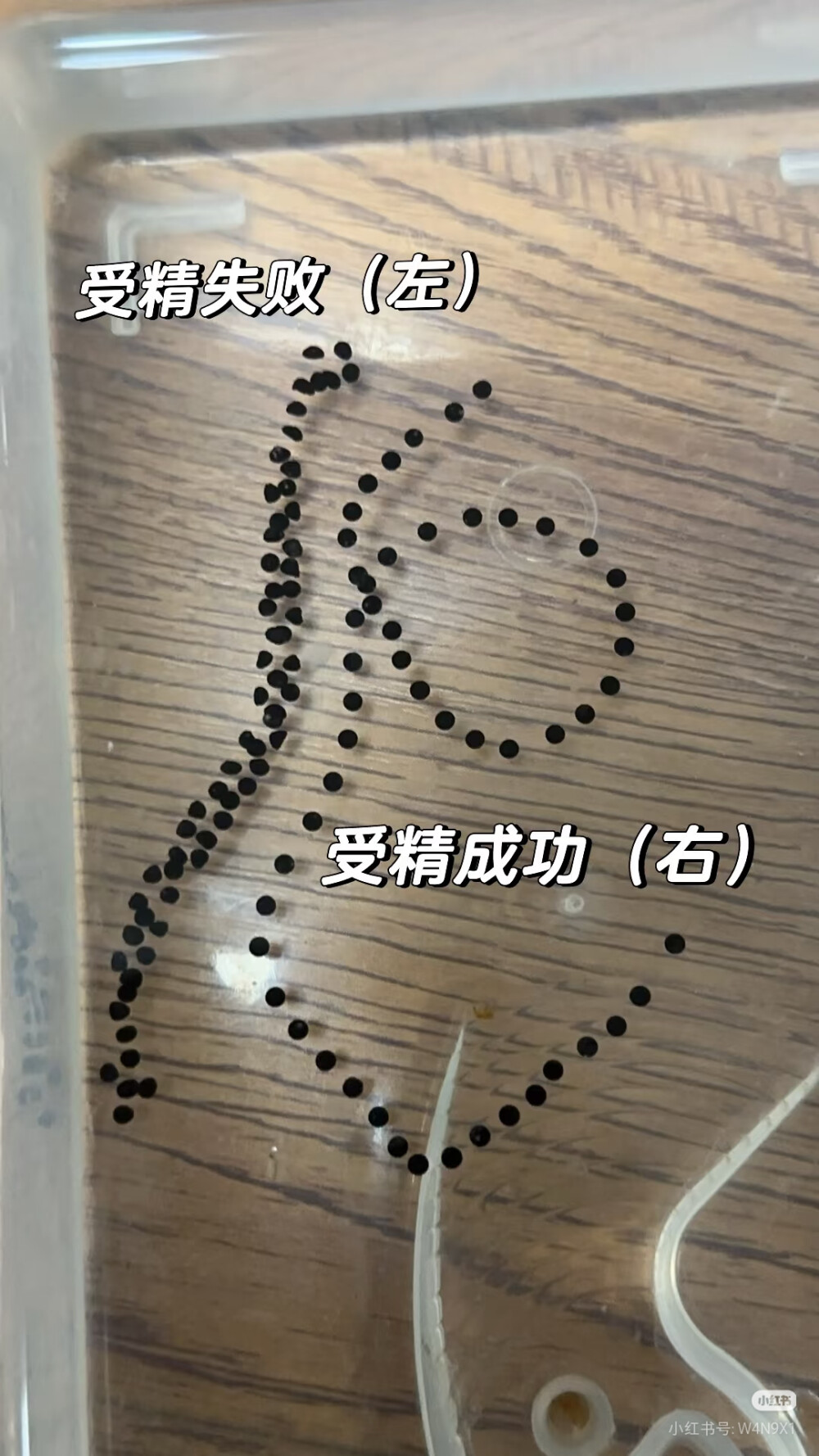 8️⃣