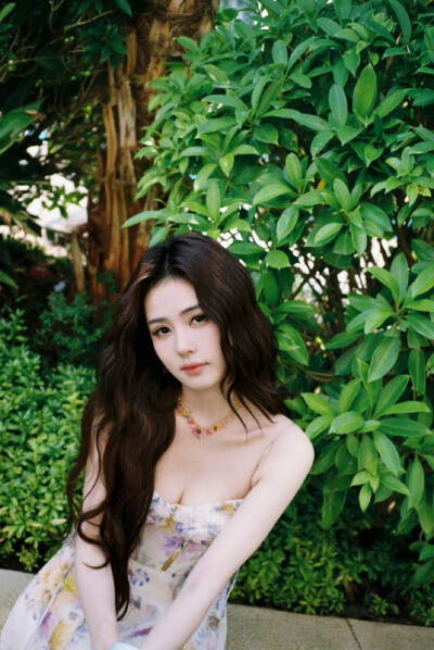 白鹿