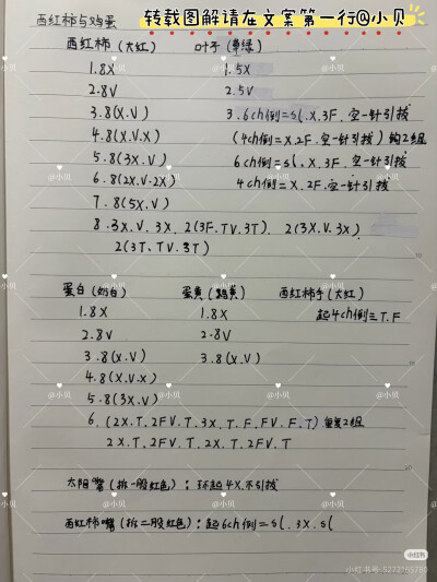 西红柿与番茄