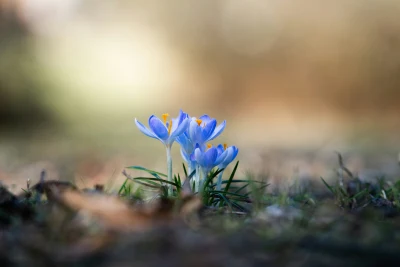 Photo by WenGe