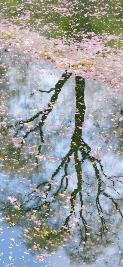 ins风壁纸