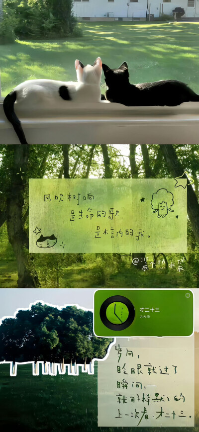 ins风壁纸