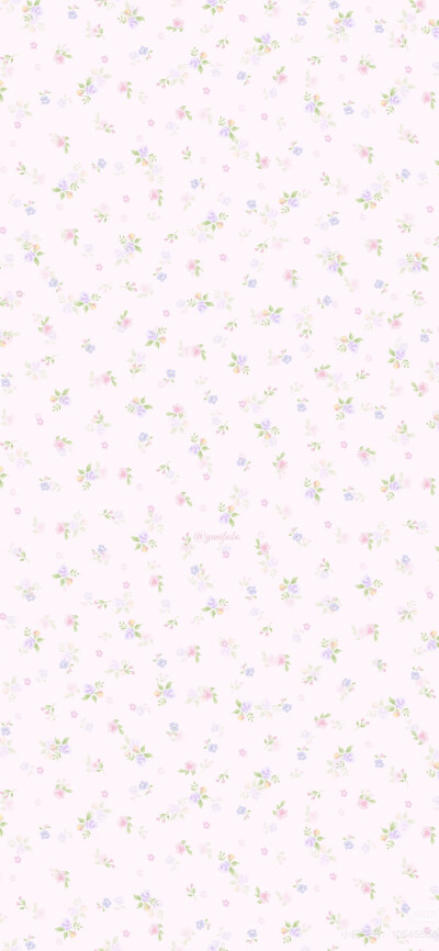 x壁纸