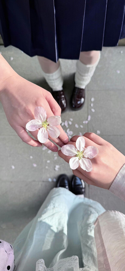壁纸·图源微博