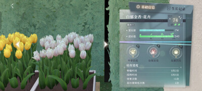 啊~才二星，可惜了╮(￣▽￣)╭
