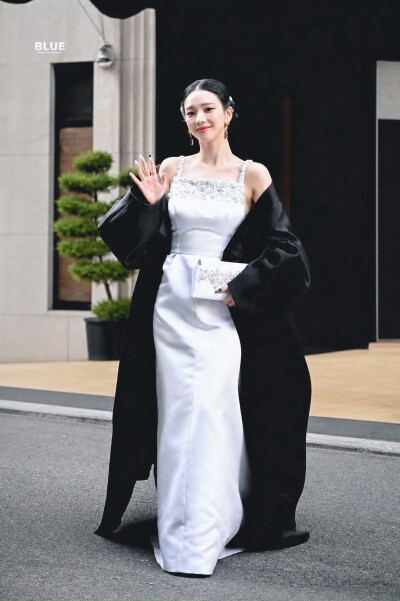 柳智敏