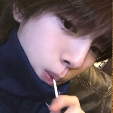 猪