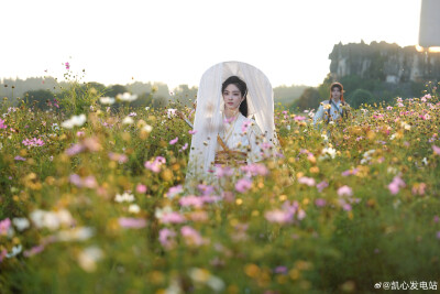 张凯莹