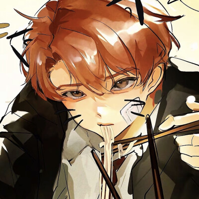 狗猫