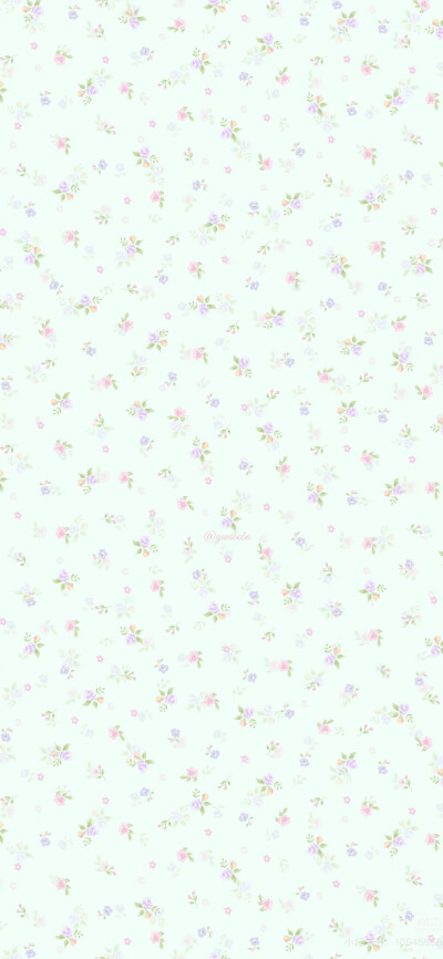 x壁纸