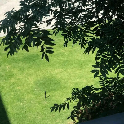 景