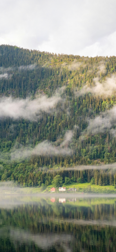 景