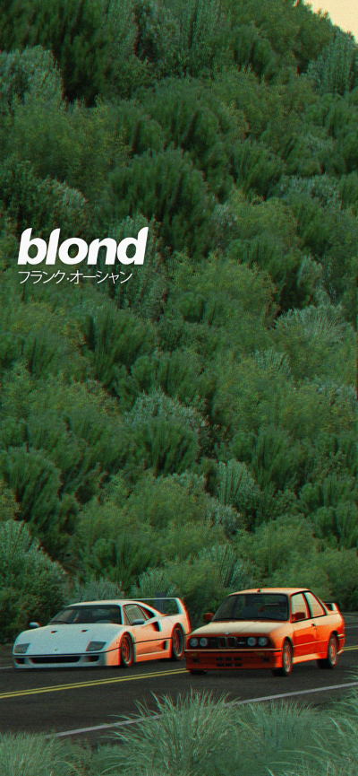 景