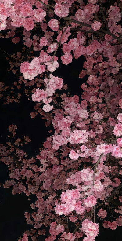 景