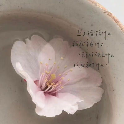 侵删