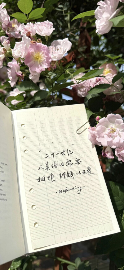 侵删