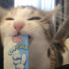 萌物