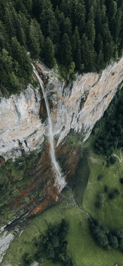 景