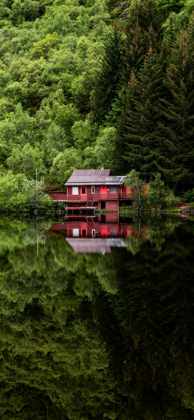 景