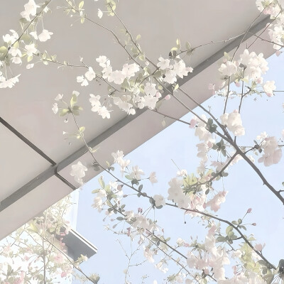⁡ ✴︎