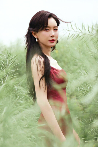 陈数