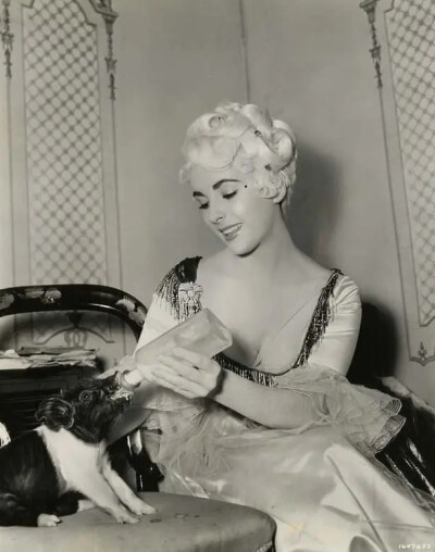 Elizabeth Taylor ​​​