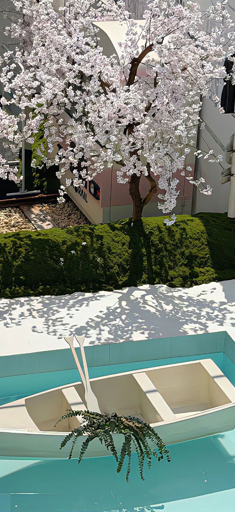 侵删