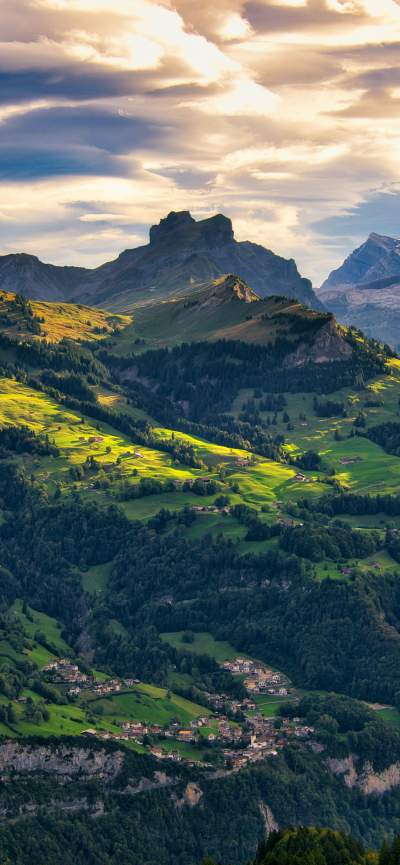 景