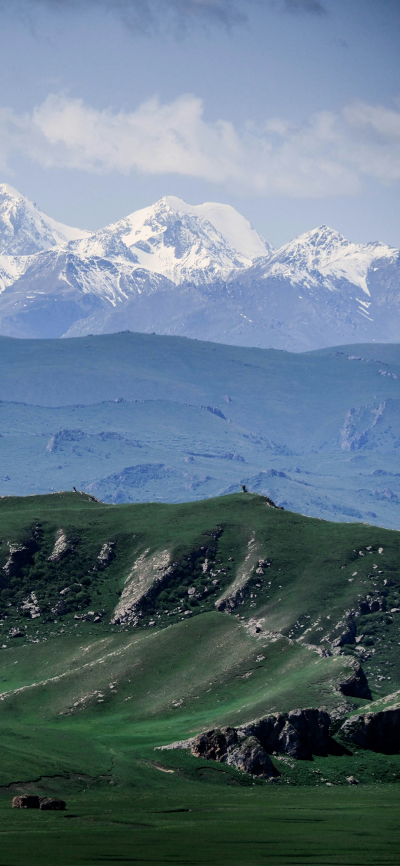 景