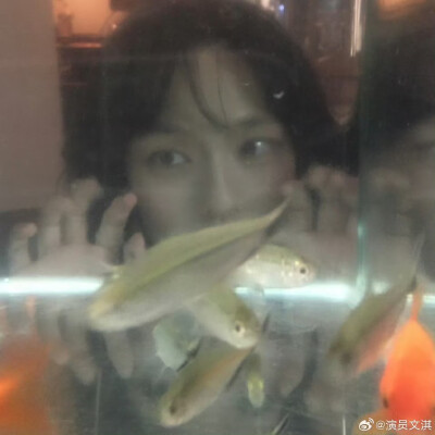 文淇