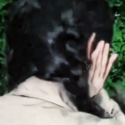 场景两个人一起散着步