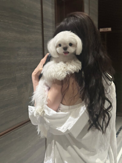李一桐