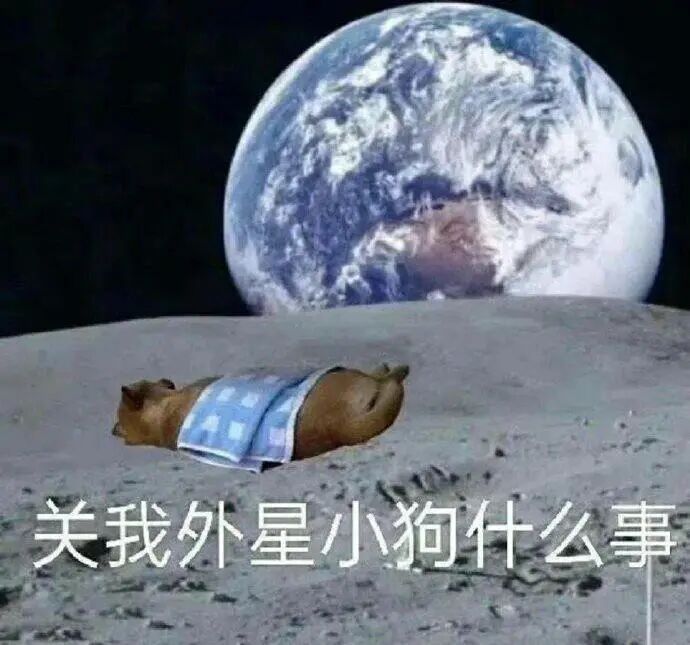 表情包