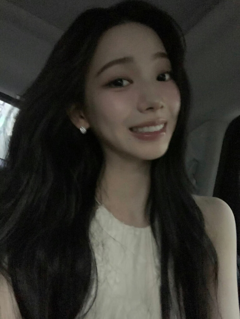 柳智敏