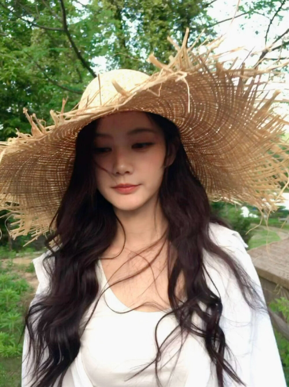 李一桐