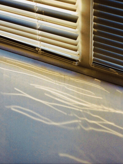 日常
31℃