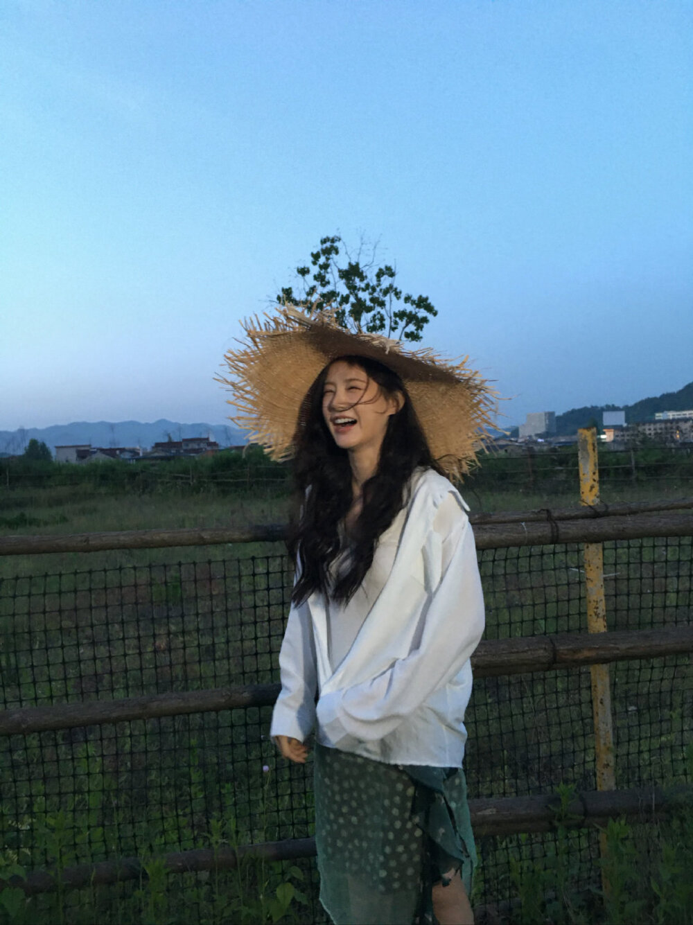 李一桐
