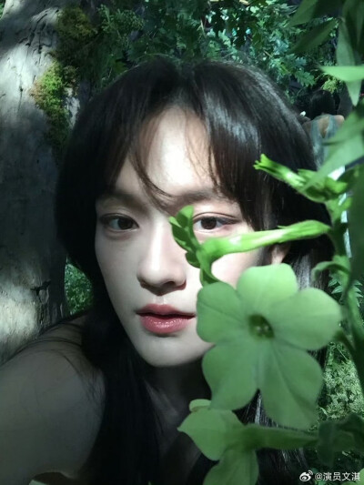 文淇