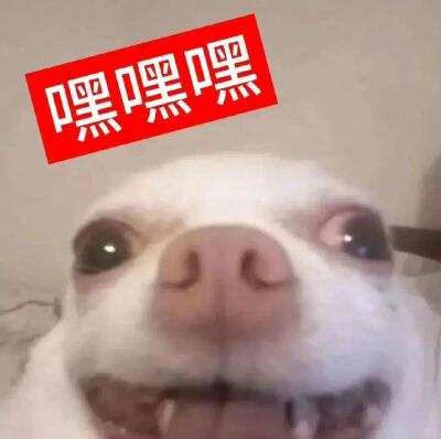 表情包