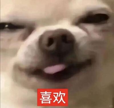 表情包